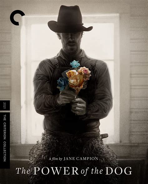 alluc the power of the dog|The Power of the Dog review – Campion and Cumberbatch’s .